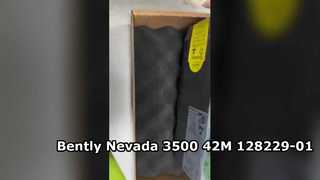 128229-01 Bently Nevada 3500 42M seismische monitor